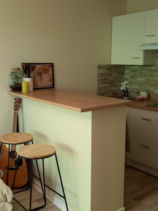 Le Doubs Cosy Apartment Besançon