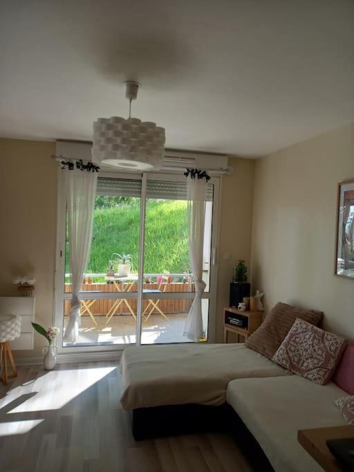 Le Doubs Cosy * Besançon